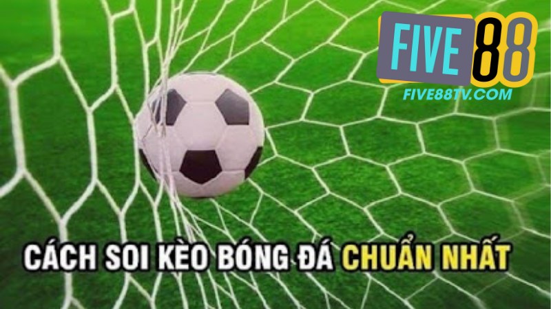 Sảnh BTI Sport 